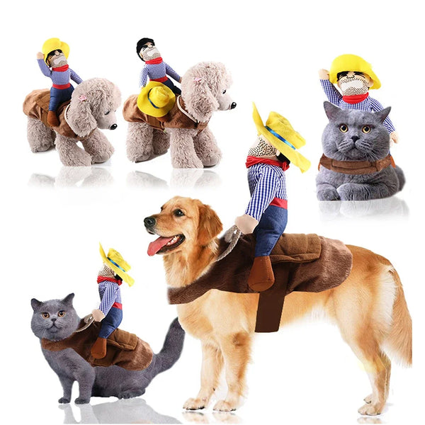 Several dogs are dressed in funny cowboy costumes, including a fluffy dog and a golden retriever.