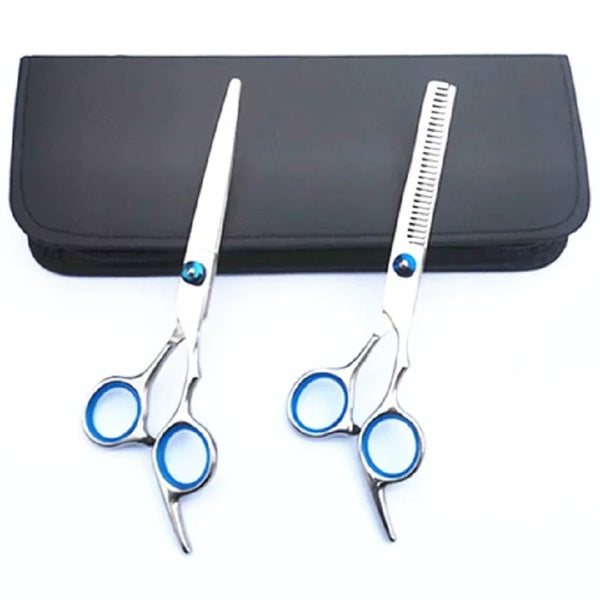 A pair of professional stainless steel hairdressing scissors resting on a black case.