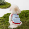 A fluffy white dog wearing a light blue vest with red trim in an outdoor grassy setting.