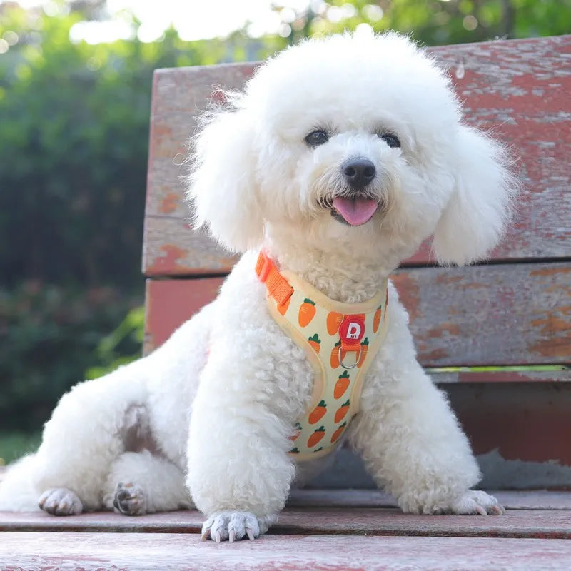 A fluffy white dog is sitting on a wooden surface wearing an orange pet harness.