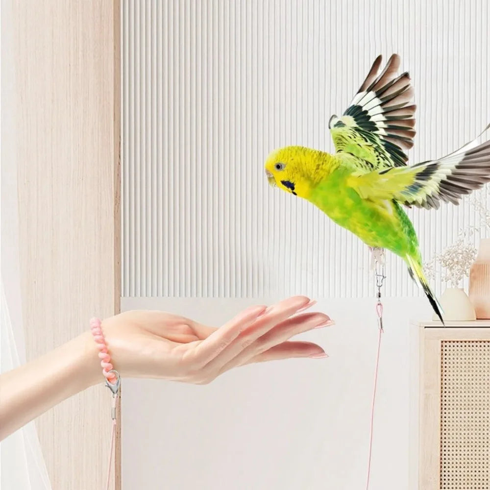 A hand is gently holding an adjustable parrot traction rope with a colorful bird attached.