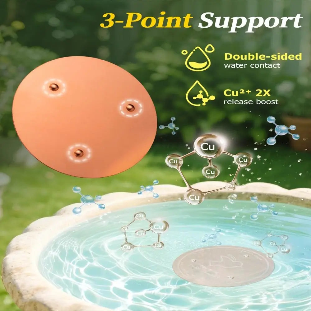 Un disque de bain d'oiseaux en cuivre flotte dans l'eau, démontrant le contact eau double face et un boost de libération de C