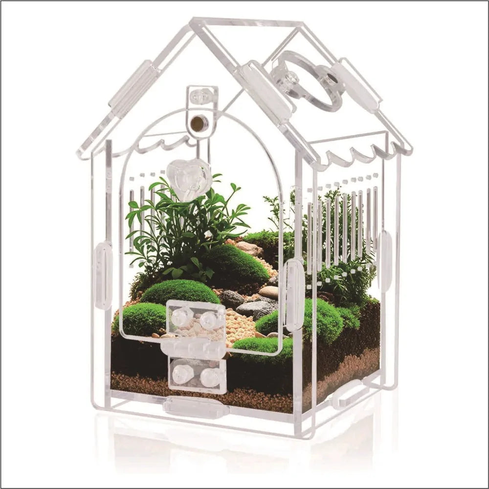 A clear plastic terrarium shaped like a house containing small plants and decorative elements.