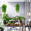 Four artificial Persian fern hanging vines displayed in a modern indoor setting.