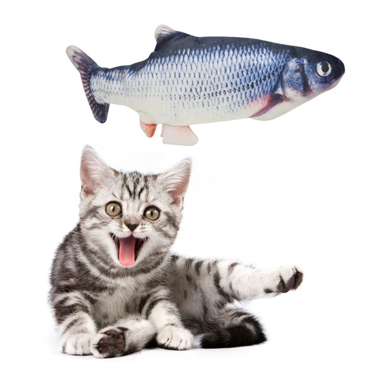 A small gray kitten looking surprised while a blue and silver fish toy floats above it.