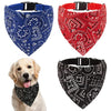 Drei Bandana-Halsbänder für Haustiere mit Paisley-Mustern in Blau, Rot und Schwarz an einem Hund.