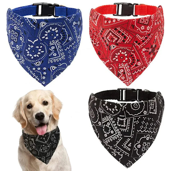 Drei Bandana-Halsbänder für Haustiere mit Paisley-Mustern in Blau, Rot und Schwarz an einem Hund.