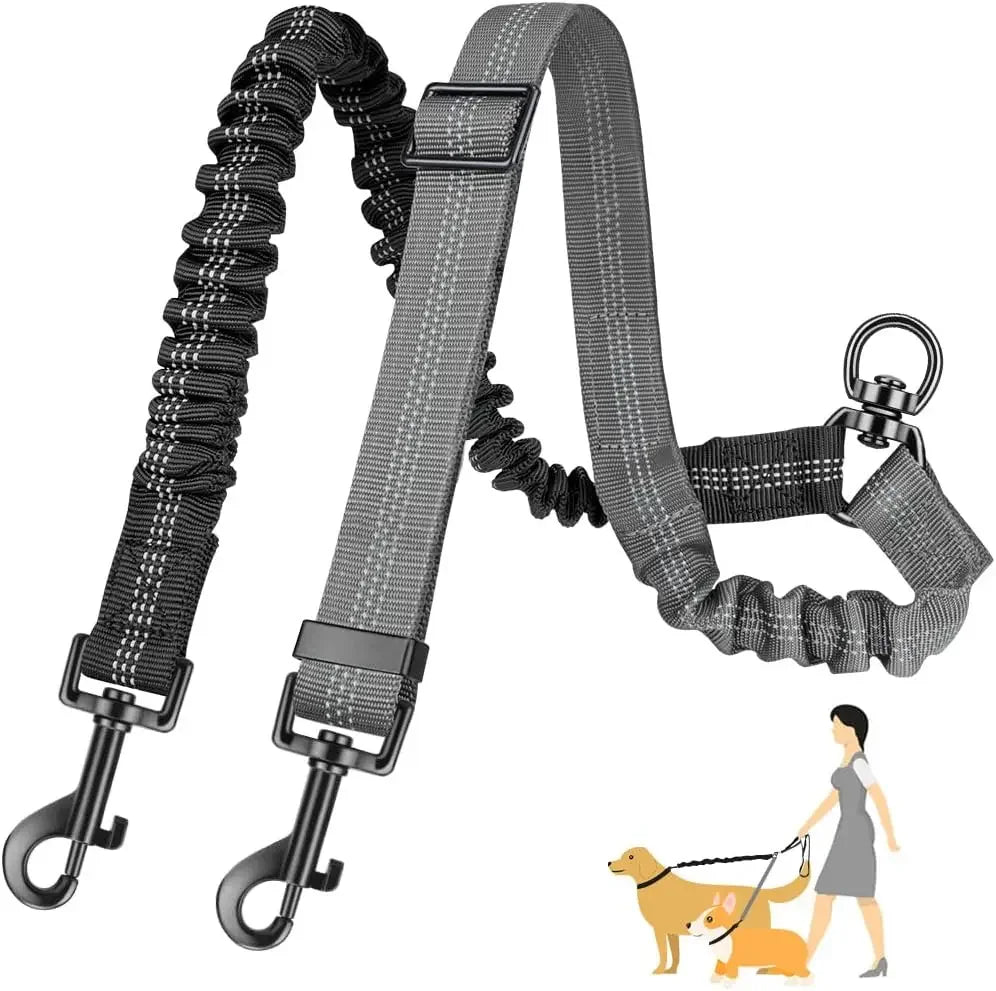 A black and gray dual dog leash attachment with a bungee shock absorber and a yellow dog.