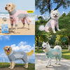 A dog wearing a pink and gray summer cooling suit with UPF 50 protection outdoors.