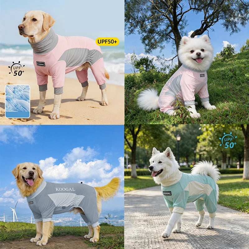 A dog wearing a pink and gray summer cooling suit with UPF 50 protection outdoors.