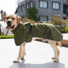 Un chien doré portant un manteau coupe-vent vert olive à l'extérieur.