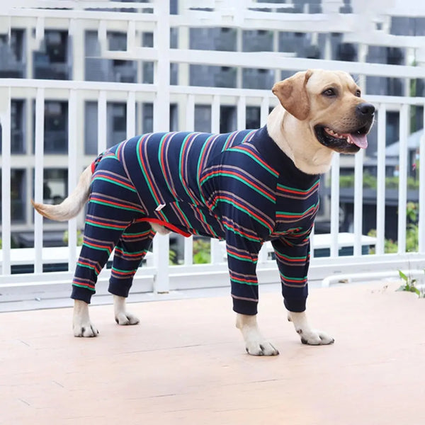 A golden dog wearing a striped breathable elastic jumpsuit standing outdoors on a balcony.