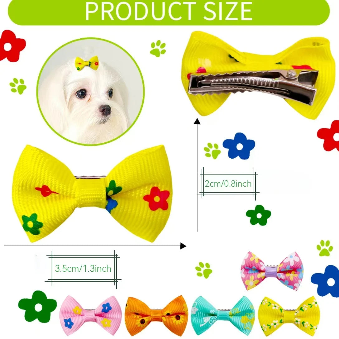 Colección de clips y lazos de pelo amarillo, rosa, naranja y azul para el aseo de perros y gatos.