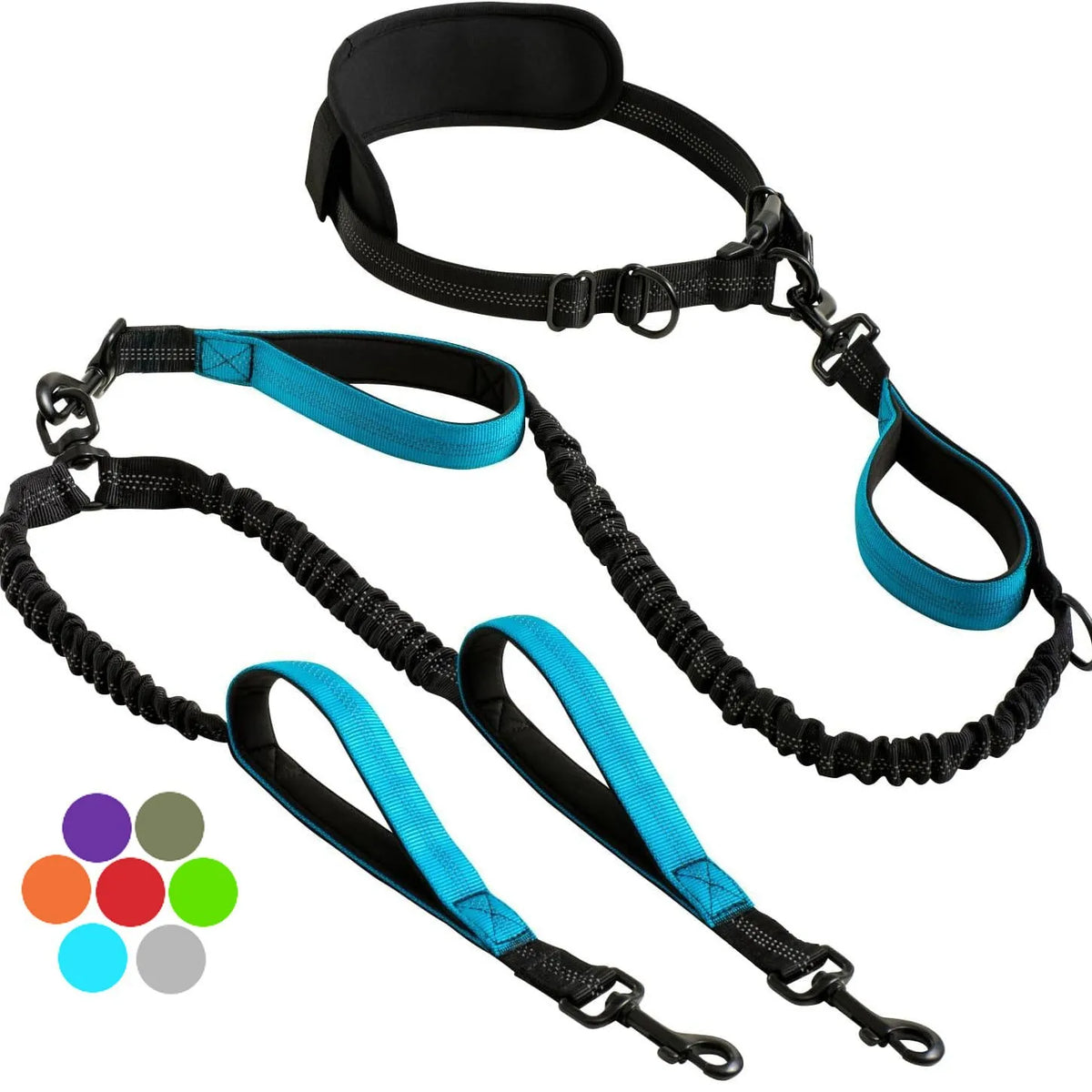 Black and blue padded hands-free double dog leash for two dogs