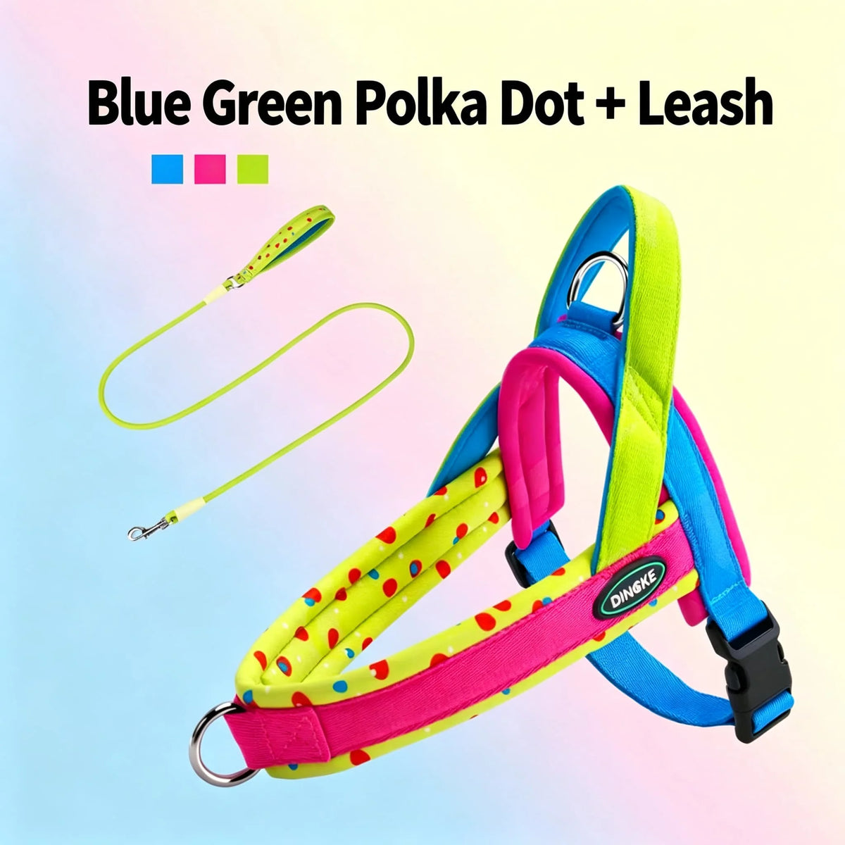 Harnais pour chien à pois bleu vert avec laisse et étiquette