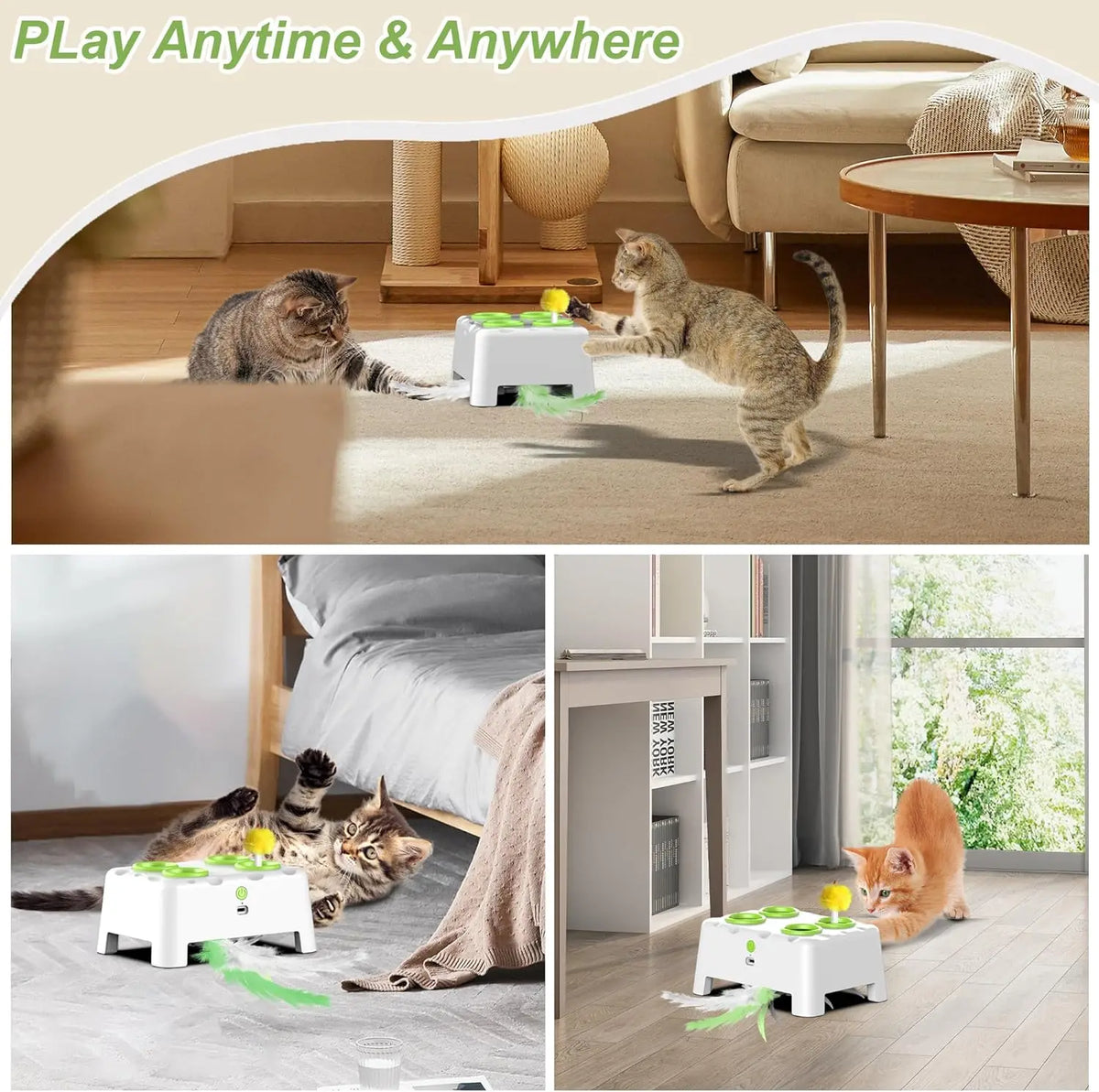 Eine Katze spielt mit einem automatischen Federspielzeug auf einem Teppich, während ein Hund im Bild ist.