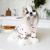 Ein flauschiger weißer und grauer Shih Tzu Hund mit einem rosa Pet-Vest mit schwarzen Herzen.