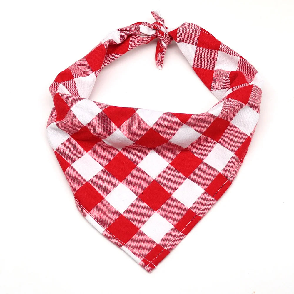 A red and white checkered plaid bandana tied around the neck.