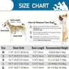 Tabla de tallas para chaleco salvavidas para perros, mostrando medidas de XS a XL.