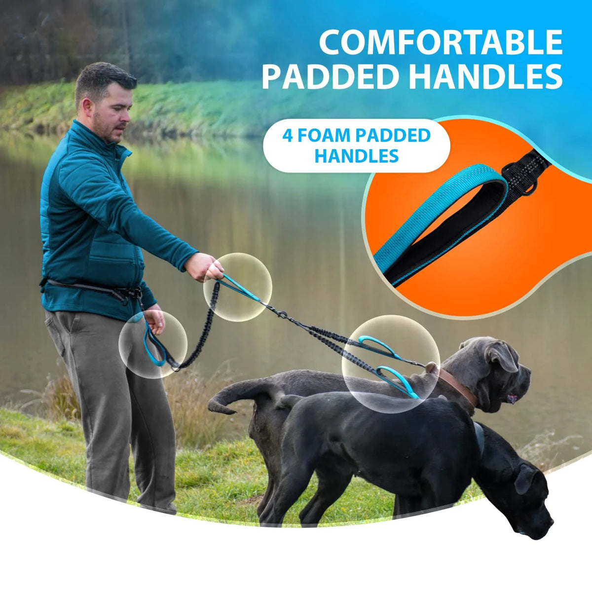 A man holds a blue leash with four foam padded handles, next to two dogs near water.