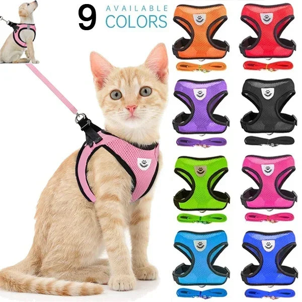 A set of nine colorful adjustable pet harnesses and leashes for dogs and cats displayed next to a cat.