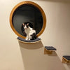 A white and black cat is sitting inside a round wooden window-shaped wall-mounted cat tree.