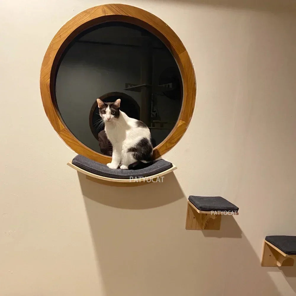 A white and black cat is sitting inside a round wooden window-shaped wall-mounted cat tree.