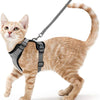 Flauschiger orange tabby Katzen mit grauem, verstellbarem Gehgeschirr und Leine.