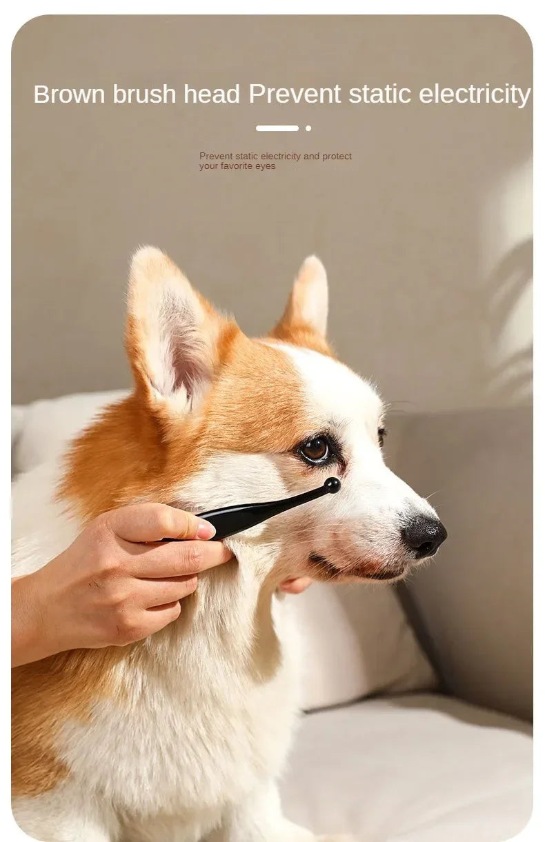 Eine Hand hält einen braunen Bürstenkopf zur Augenpflege des Hundes.