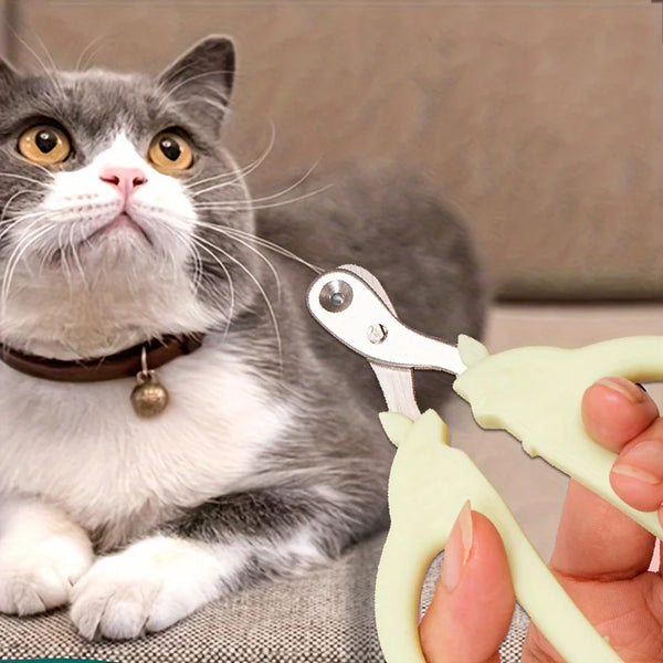 A gray and white cat looks at a pair of veterinary grade cat nail clippers with safety guards being held by a hand.