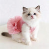 A fluffy white kitten wearing a pink tutu dress sitting on a white surface.