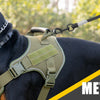 A black dog wearing a tactical harness with a metal D-ring attached to a leash.