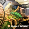 Eine grüne Eidechse sitzt auf einem Ast in einem Terrarium unter einer simulierten UVB-Lampe.