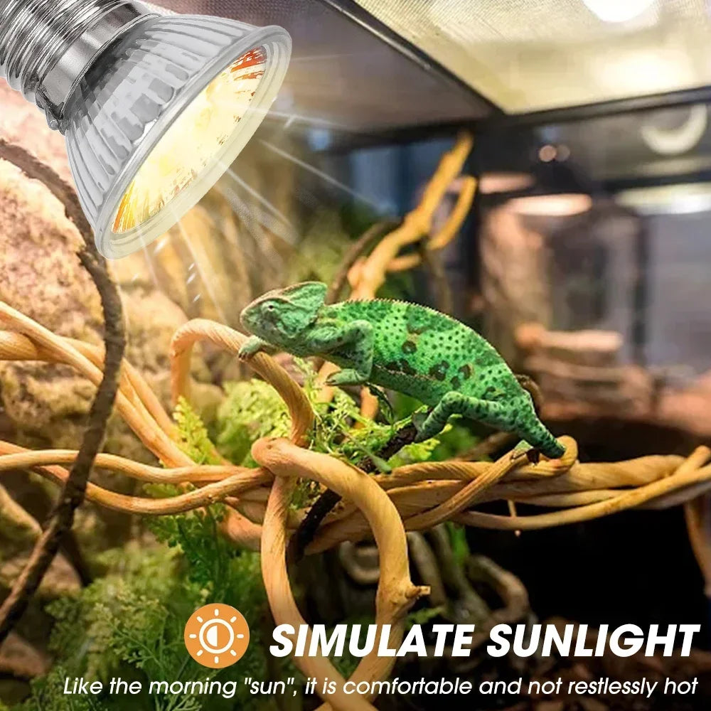 Eine grüne Eidechse sitzt auf einem Ast in einem Terrarium unter einer simulierten UVB-Lampe.