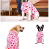 A black and white dog wearing a pink floral patterned recovery suit for dogs.