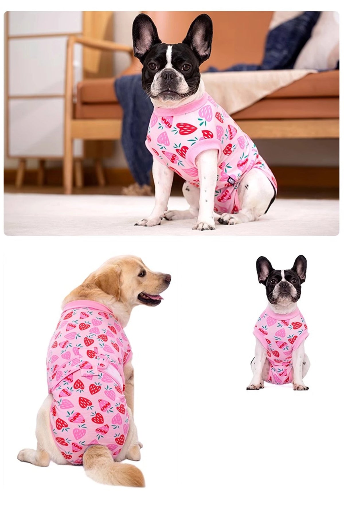 A black and white dog wearing a pink floral patterned recovery suit for dogs.