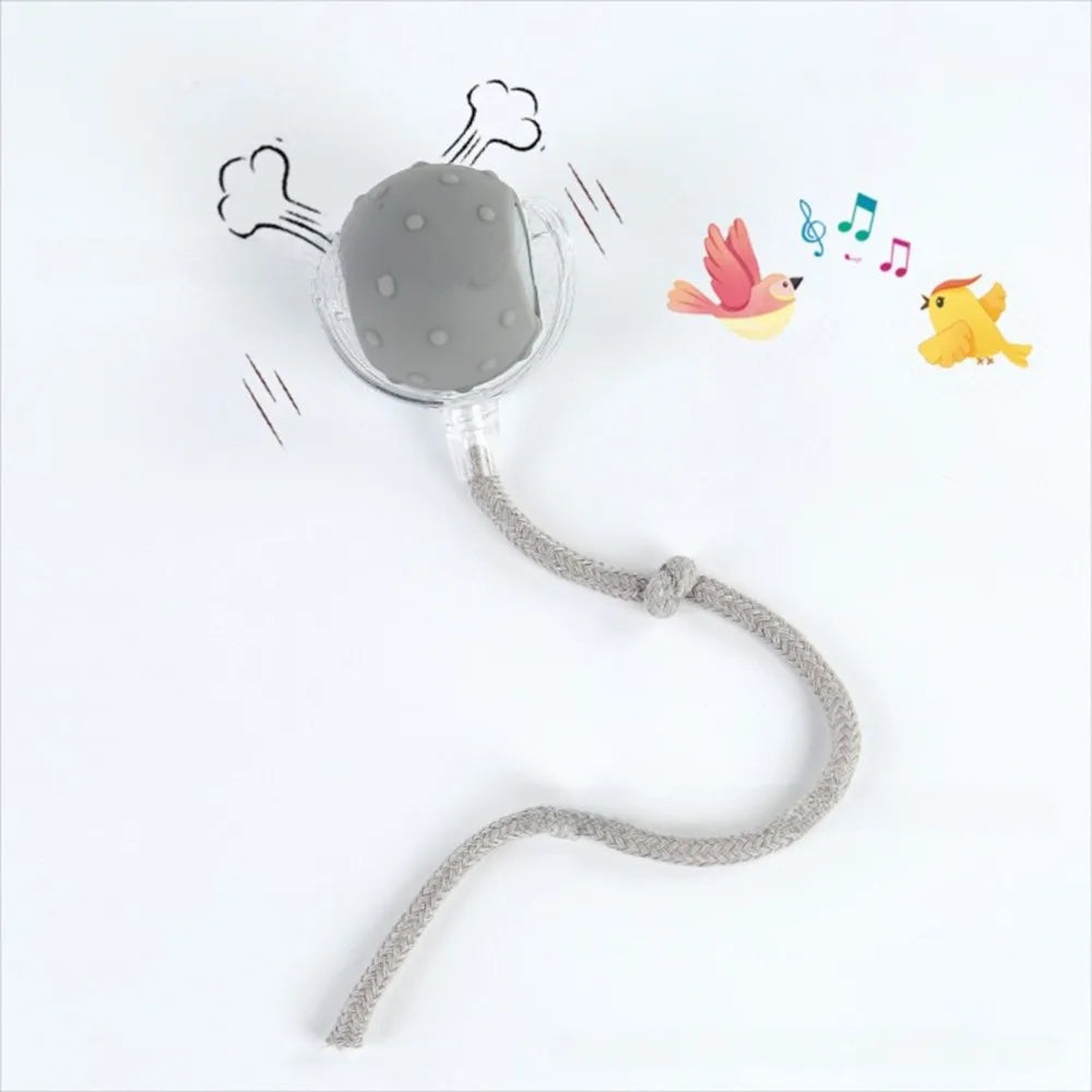 A gray training ball attached to a string, surrounded by drawings of a bird and a dog.