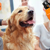 A person is using an orange 6-speed pet nail grinder on a dog's paw.