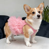 Ein kleiner Shiba Inu Hund in einem rosa gerafften Slipkleid auf einer weißen Oberfläche.