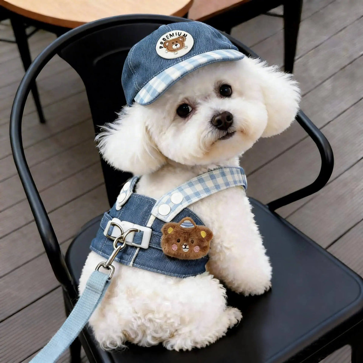A white poodle wearing a blue and white plaid harness vest with a brown bear charm sitting on a black chair.