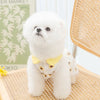 Un perro blanco esponjoso vistiendo un vestido amarillo de malla con estampado floral, sentado sobre una superficie de madera
