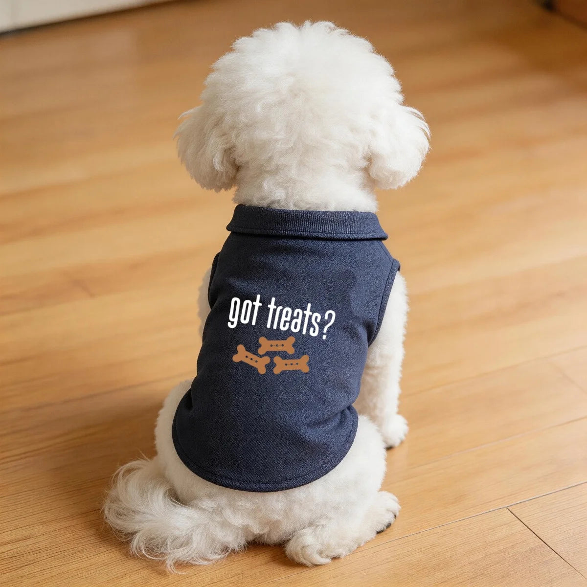 A white dog wearing a navy blue polo vest with the text Got treats?