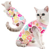 A gray cat wearing a pink and colorful patterned recovery vest.