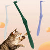 A tabby cat is interacting with various soft bristle pet toothbrushes, including white and purple ones.