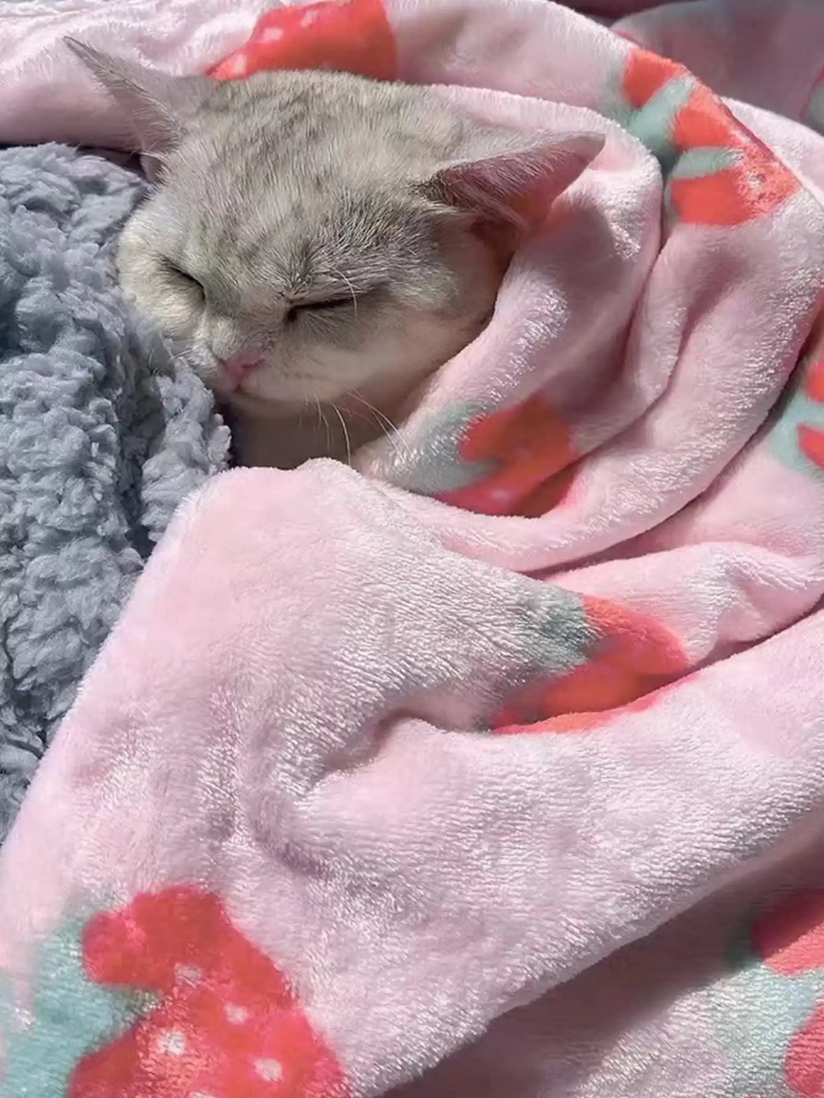 A small gray kitten is sleeping on a pink floral pet blanket.