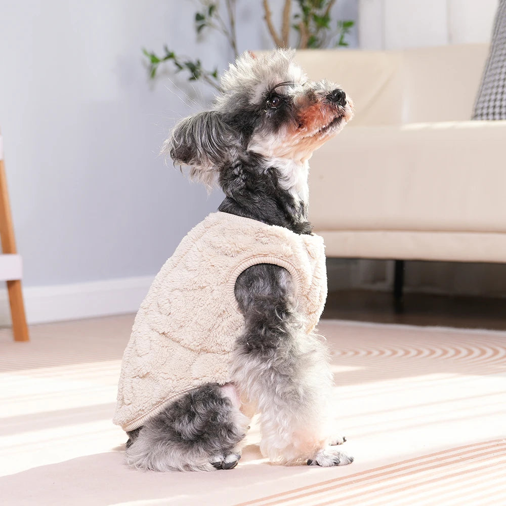 A small, fluffy dog wearing a beige fleece sweater indoors on a light rug.