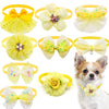 Yellow lace bowtie collar accessories for small dogs and cats featuring various floral and bow designs