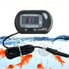 A digital thermometer is shown with a cord, placed above water with small orange fish swimming below.