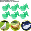 Un ensemble de abreuvoirs automatiques verts pour volailles, montrés avec divers oiseaux.