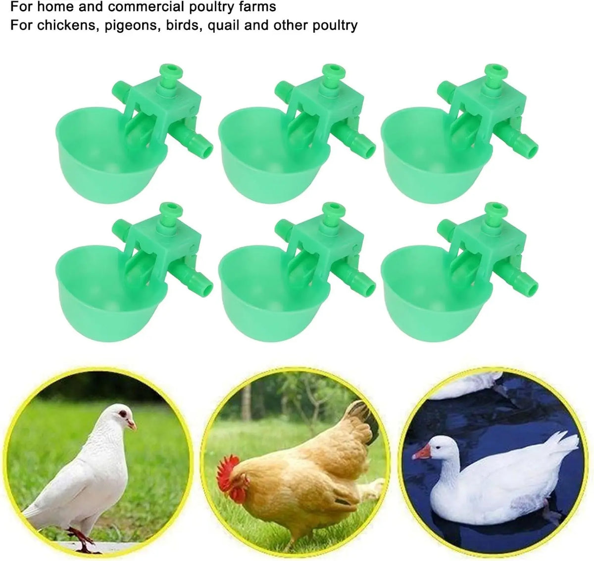 Un ensemble de abreuvoirs automatiques verts pour volailles, montrés avec divers oiseaux.